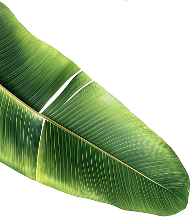 leaf